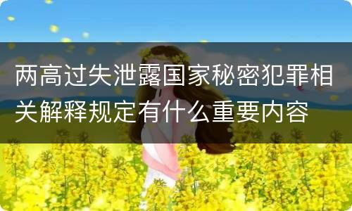 两高过失泄露国家秘密犯罪相关解释规定有什么重要内容