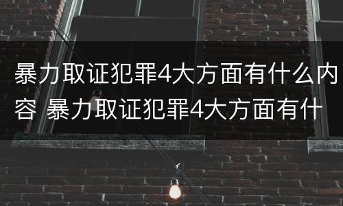 暴力取证犯罪4大方面有什么内容 暴力取证犯罪4大方面有什么内容和要求