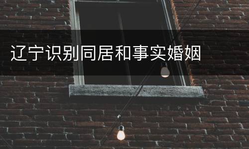 辽宁识别同居和事实婚姻