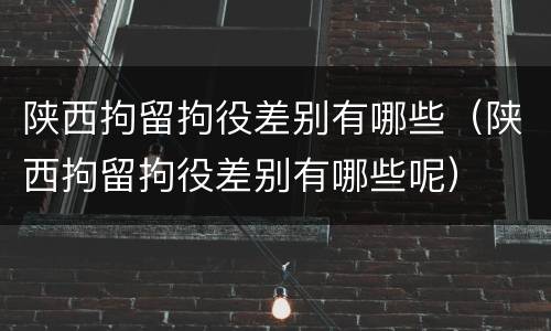 陕西拘留拘役差别有哪些（陕西拘留拘役差别有哪些呢）