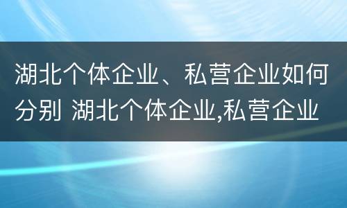 湖北个体企业、私营企业如何分别 湖北个体企业,私营企业如何分别交社保