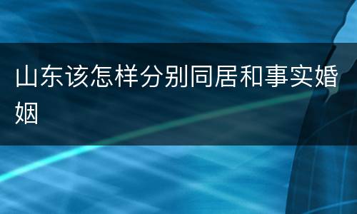 山东该怎样分别同居和事实婚姻