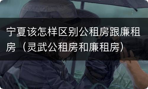 宁夏该怎样区别公租房跟廉租房（灵武公租房和廉租房）