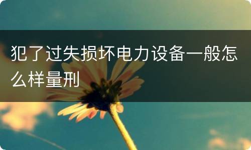 犯了过失损坏电力设备一般怎么样量刑