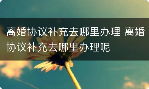 离婚协议补充去哪里办理 离婚协议补充去哪里办理呢