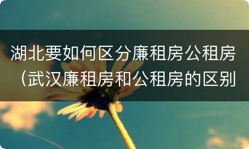 湖北要如何区分廉租房公租房（武汉廉租房和公租房的区别）