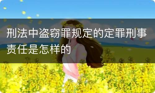 刑法中盗窃罪规定的定罪刑事责任是怎样的