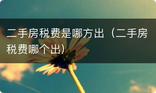 二手房税费是哪方出（二手房税费哪个出）