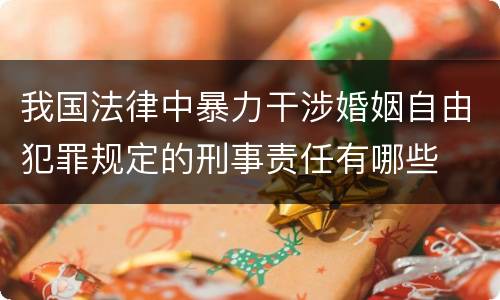 我国法律中暴力干涉婚姻自由犯罪规定的刑事责任有哪些