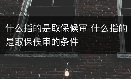 什么指的是取保候审 什么指的是取保候审的条件