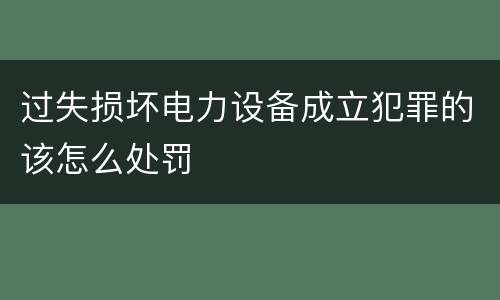 过失损坏电力设备成立犯罪的该怎么处罚