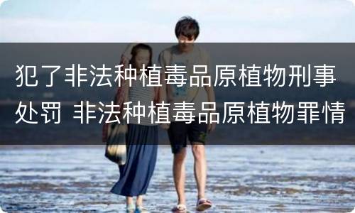 犯了非法种植毒品原植物刑事处罚 非法种植毒品原植物罪情节严重