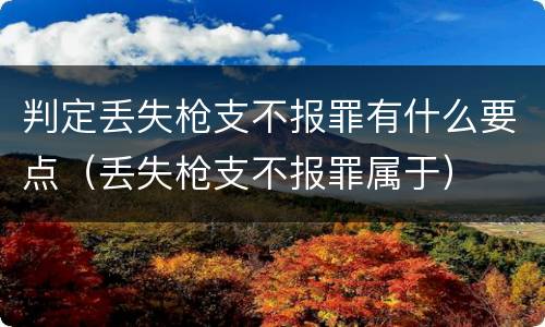 判定丢失枪支不报罪有什么要点（丢失枪支不报罪属于）