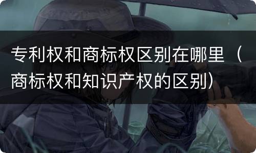 专利权和商标权区别在哪里（商标权和知识产权的区别）
