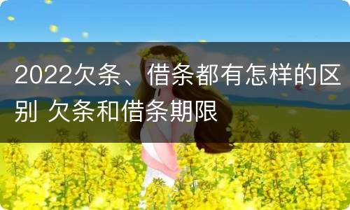 2022欠条、借条都有怎样的区别 欠条和借条期限