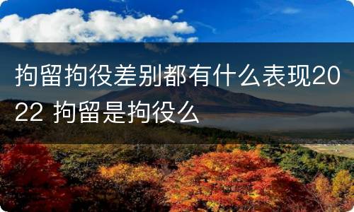拘留拘役差别都有什么表现2022 拘留是拘役么