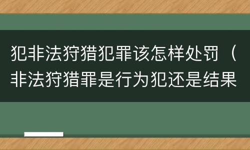 犯非法狩猎犯罪该怎样处罚（非法狩猎罪是行为犯还是结果犯）