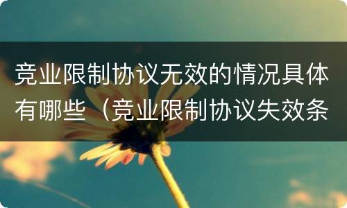 竞业限制协议无效的情况具体有哪些（竞业限制协议失效条件）