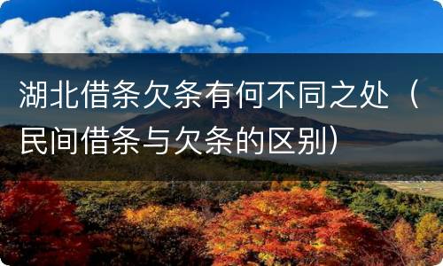 湖北借条欠条有何不同之处（民间借条与欠条的区别）