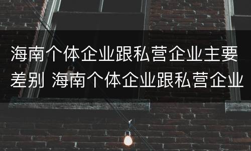 海南个体企业跟私营企业主要差别 海南个体企业跟私营企业主要差别在哪