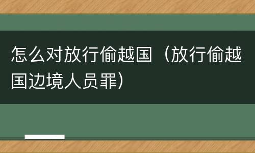怎么对放行偷越国（放行偷越国边境人员罪）