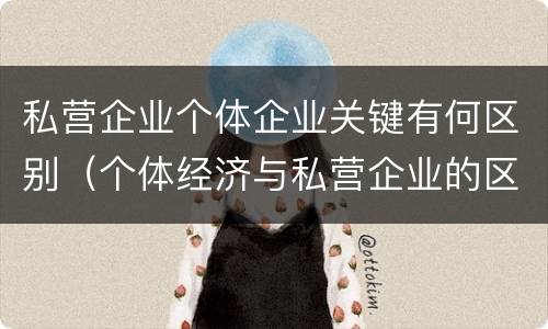私营企业个体企业关键有何区别（个体经济与私营企业的区别）
