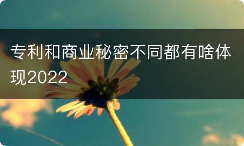 专利和商业秘密不同都有啥体现2022