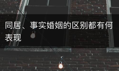 同居、事实婚姻的区别都有何表现