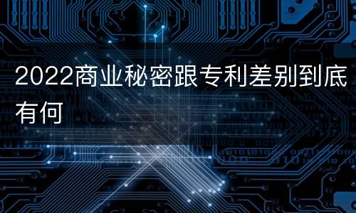 2022商业秘密跟专利差别到底有何