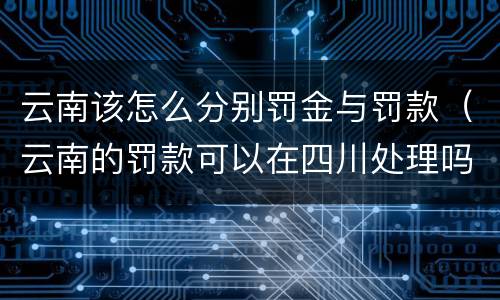 云南该怎么分别罚金与罚款（云南的罚款可以在四川处理吗）