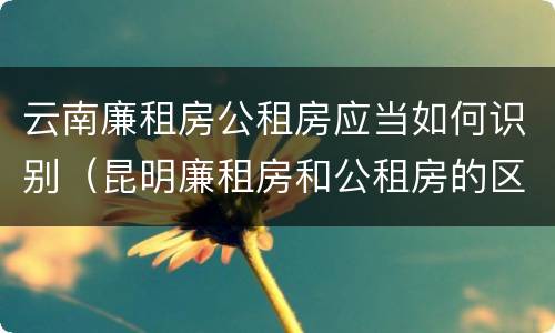 云南廉租房公租房应当如何识别（昆明廉租房和公租房的区别）