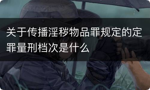关于传播淫秽物品罪规定的定罪量刑档次是什么