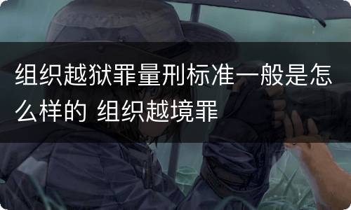 组织越狱罪量刑标准一般是怎么样的 组织越境罪