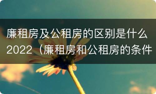 廉租房及公租房的区别是什么2022（廉租房和公租房的条件）