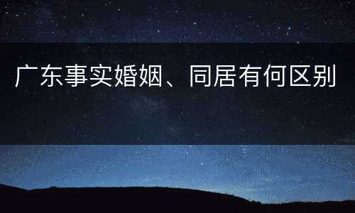 广东事实婚姻、同居有何区别