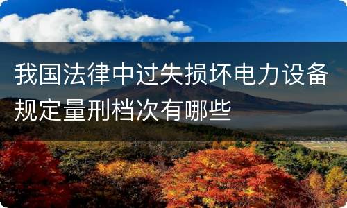 我国法律中过失损坏电力设备规定量刑档次有哪些