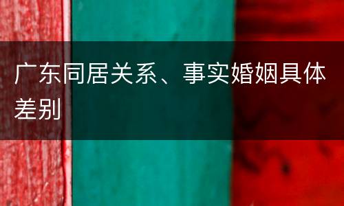 广东同居关系、事实婚姻具体差别