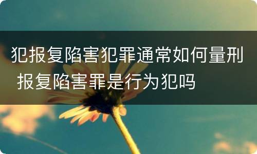 犯报复陷害犯罪通常如何量刑 报复陷害罪是行为犯吗
