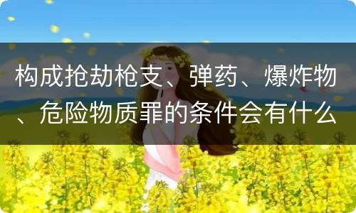 构成抢劫枪支、弹药、爆炸物、危险物质罪的条件会有什么