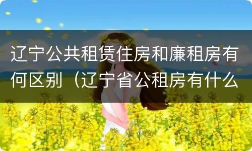辽宁公共租赁住房和廉租房有何区别（辽宁省公租房有什么新规定）