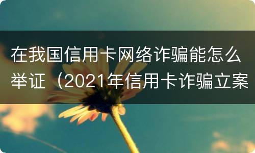 在我国信用卡网络诈骗能怎么举证（2021年信用卡诈骗立案标准）
