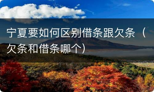 宁夏要如何区别借条跟欠条（欠条和借条哪个）