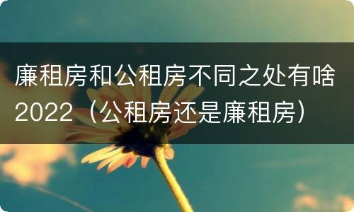 廉租房和公租房不同之处有啥2022（公租房还是廉租房）