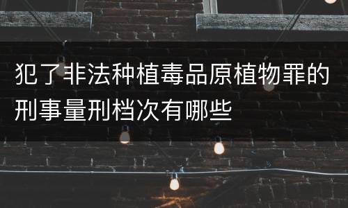 犯了非法种植毒品原植物罪的刑事量刑档次有哪些