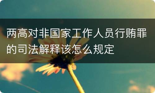 两高对非国家工作人员行贿罪的司法解释该怎么规定