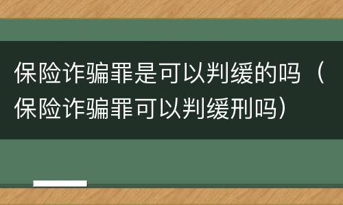 保险诈骗罪是可以判缓的吗（保险诈骗罪可以判缓刑吗）