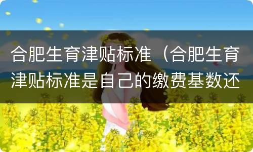 合肥生育津贴标准（合肥生育津贴标准是自己的缴费基数还是公司平均）