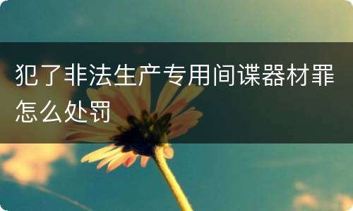 犯了非法生产专用间谍器材罪怎么处罚