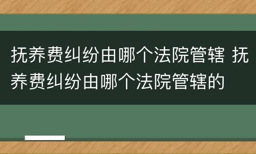 抚养费纠纷由哪个法院管辖 抚养费纠纷由哪个法院管辖的