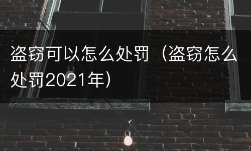 盗窃可以怎么处罚（盗窃怎么处罚2021年）